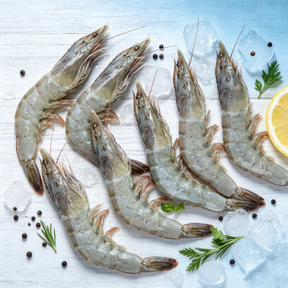 Frozen Raw Prawns